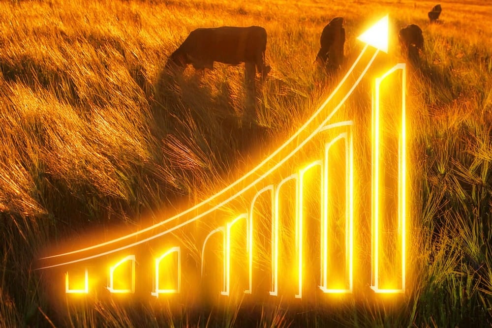 Mercado de la alimentación